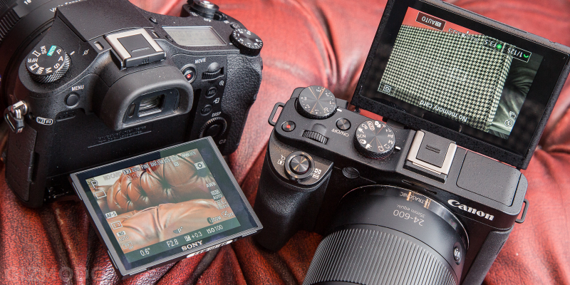 Illustration for article titled Battle of the Superzooms: Canon G3X vs. Sony RX10 Mark II